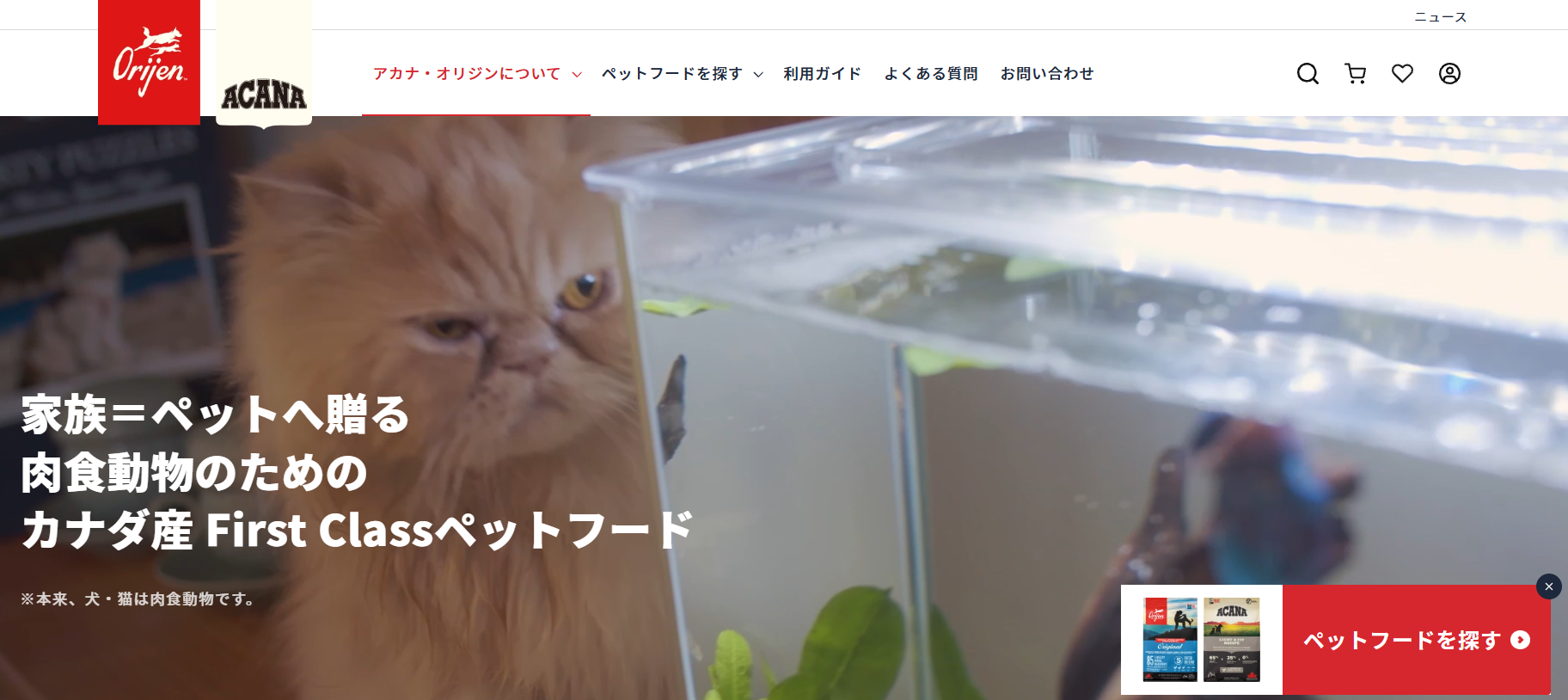 オリジン