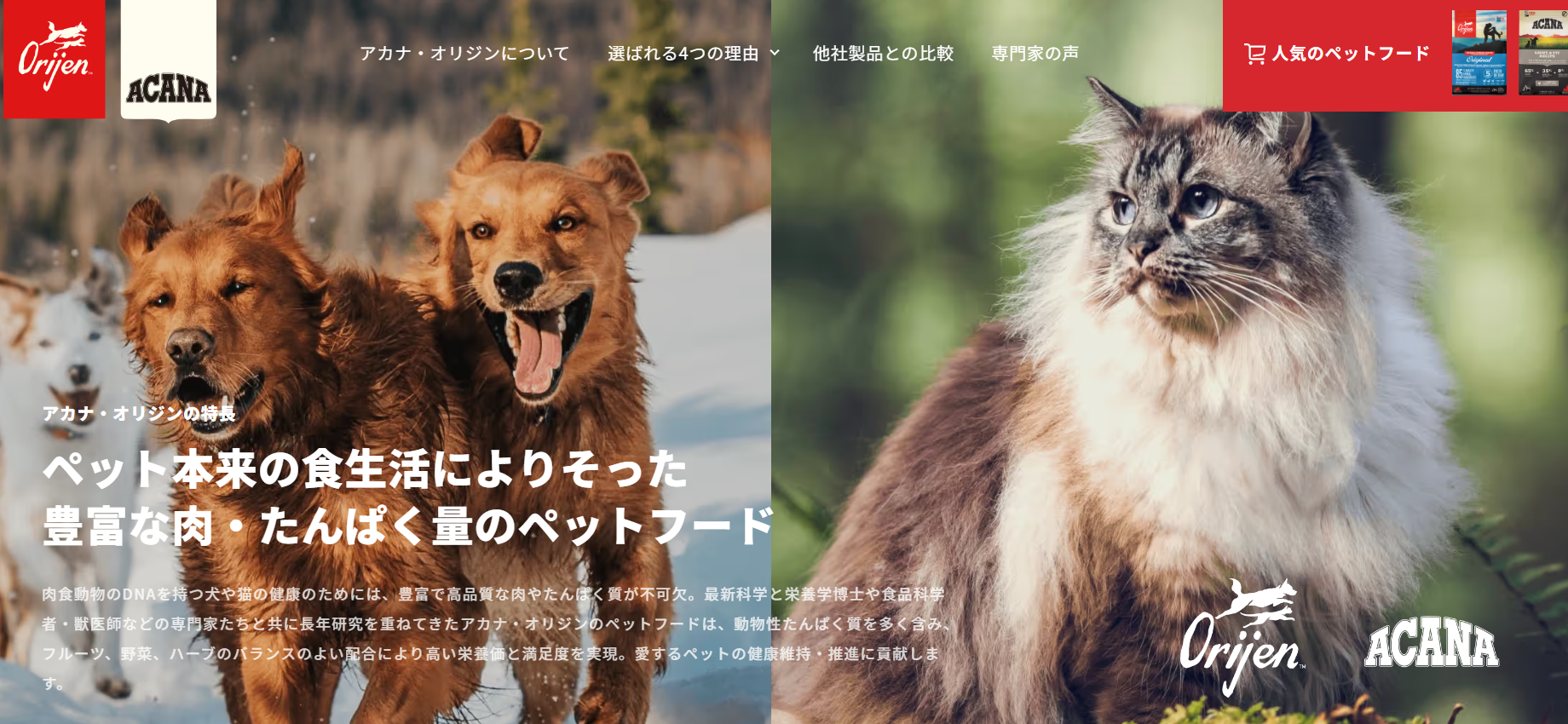オリジンアカナ