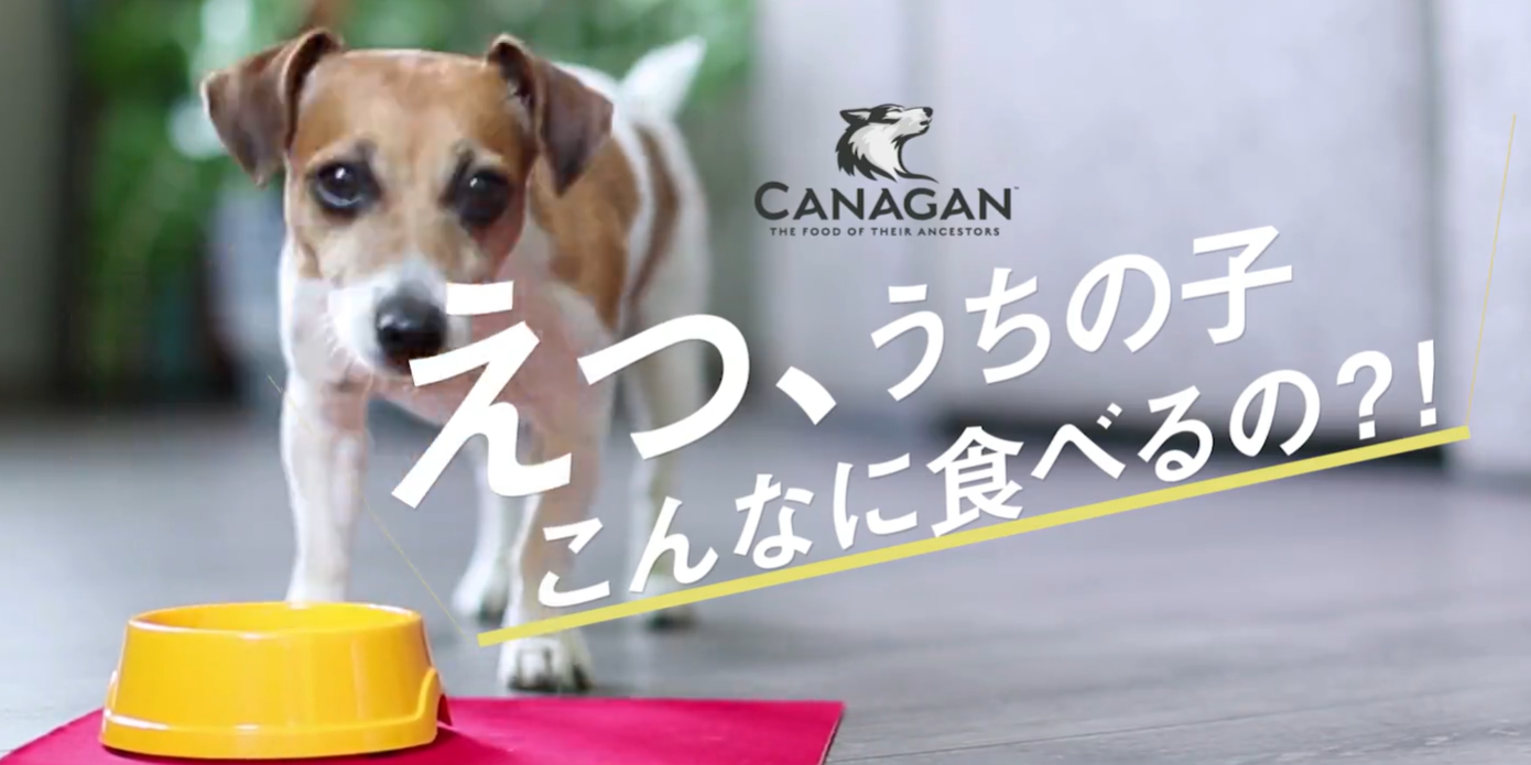 カナガン